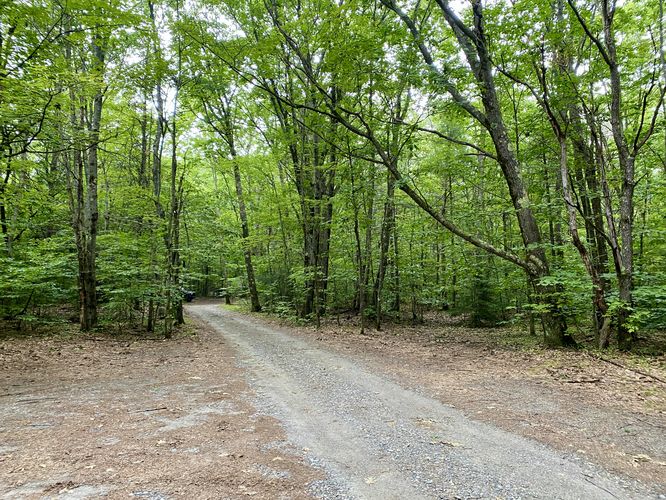 Parking area for Putney Mountain