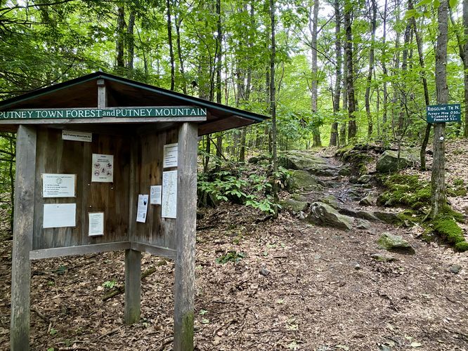 Putney Mountain trailhead