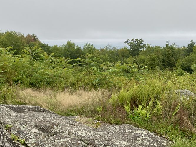 Cloudy view atop Putney Mountain