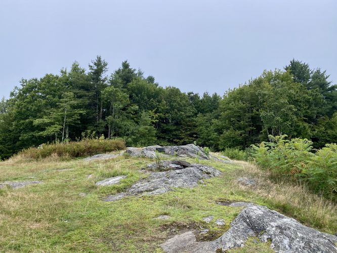View of Putney Mountain summit