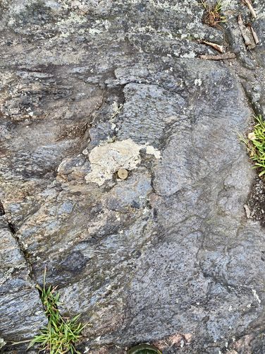 Putney Mountain summit marker (metal pin)