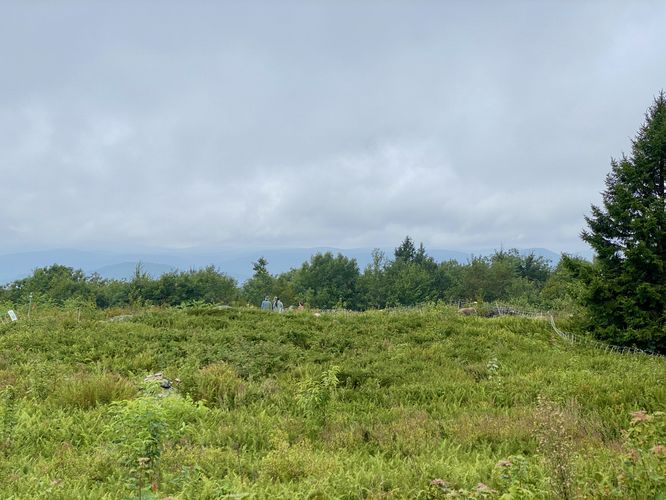 Default image for Putney Mountain Loop, a 1.3-mile trail in Putney, VT (US)