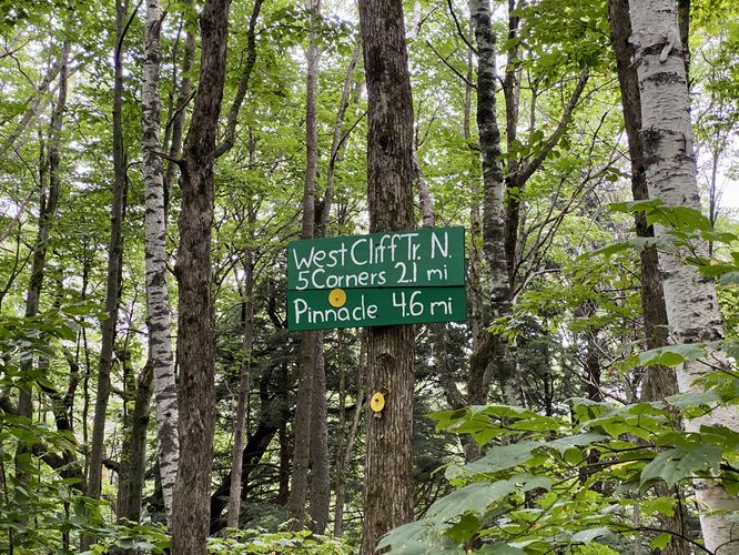 West Cliff Trail leads back to parking (yellow blazes)