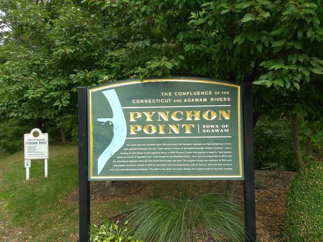 Picture 2 of Pynchon