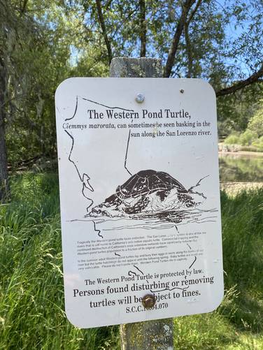 Protected habitat for the Western Pond Turtle