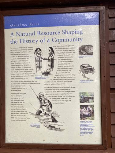 Quashnet River history