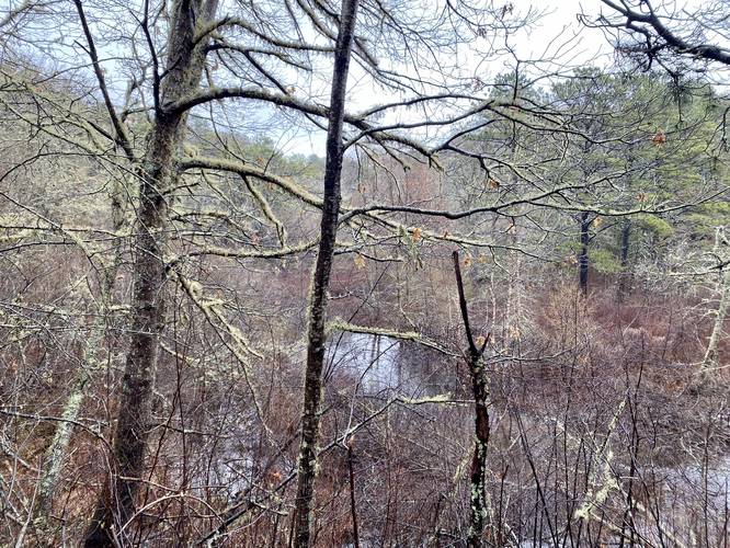 Obstructed view of the Quashnet River