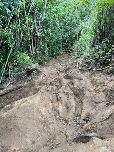 Deeply-rutted, steep, and muddy trail