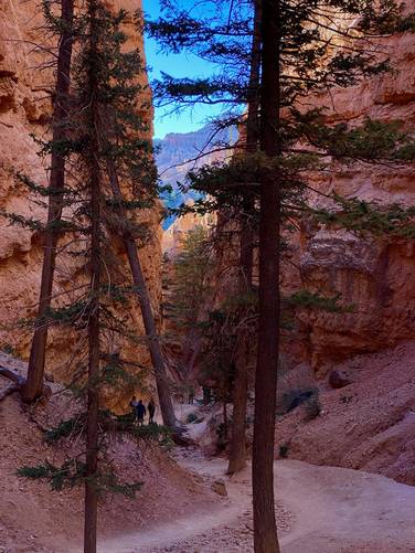 Looking down the switchback canyon of the Navajo Loop