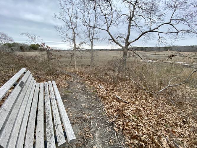 Bench for viewing