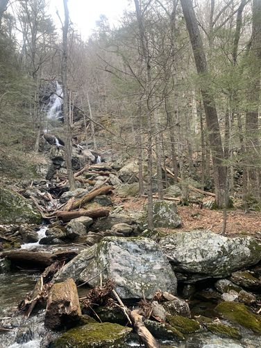 Race Brook Falls (lower)