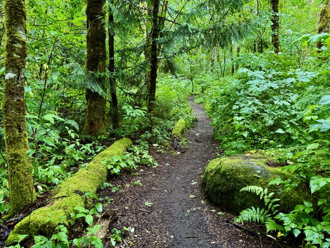Racehorse Falls Trail - Racehorse Falls Trail album