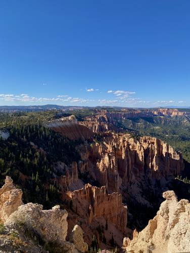 View of Bryce Canyon Hoodoos from Rainbow Point