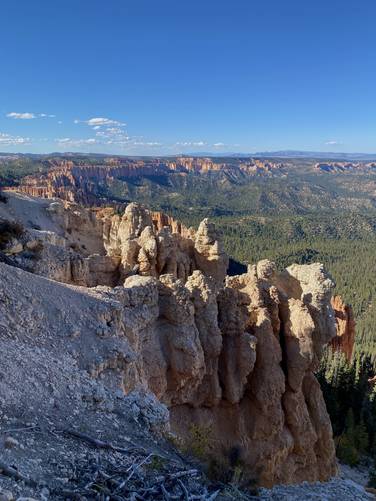 View into Bryce Canyon from Rainbow Point