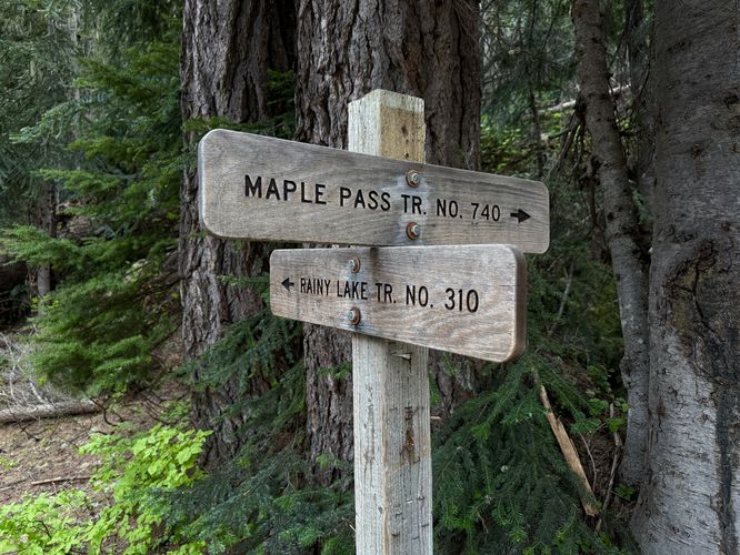 Rainy Lake Trail (No. 310) with a junction for the Maple Pass Trail (No. 740)