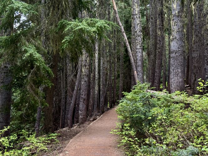Universally-accessible Rainy Lake Trail