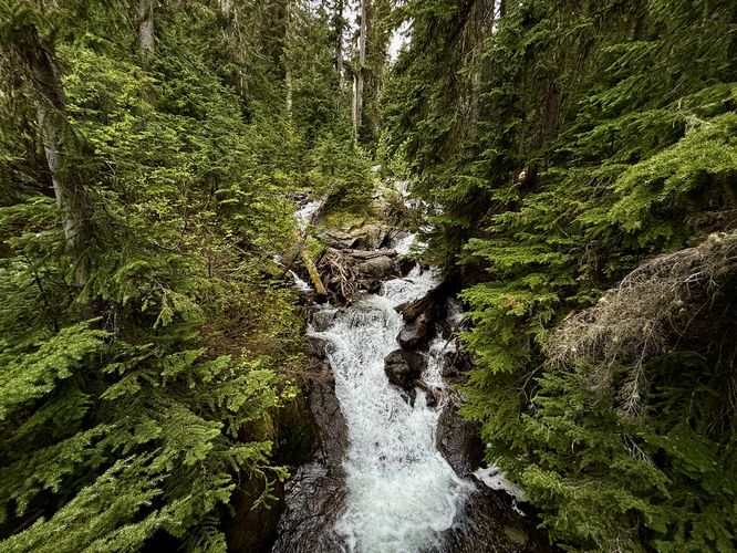 Bridge Creek Falls (approx. 7-feet tall)