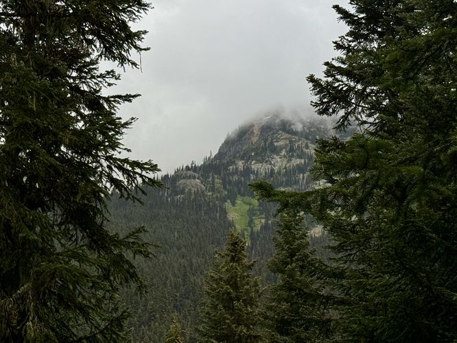 View of alpine slopes near Rainy Lake