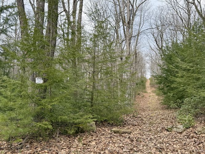 Turn onto unnamed trail