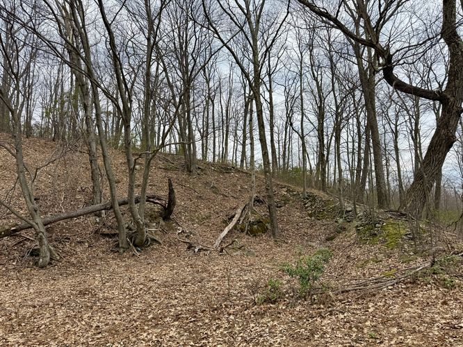 Old quarry