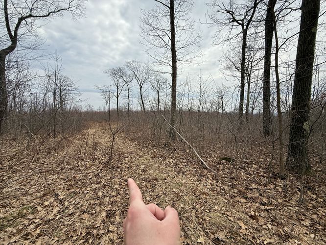 Turn to hike toward Allegheny Front Trail