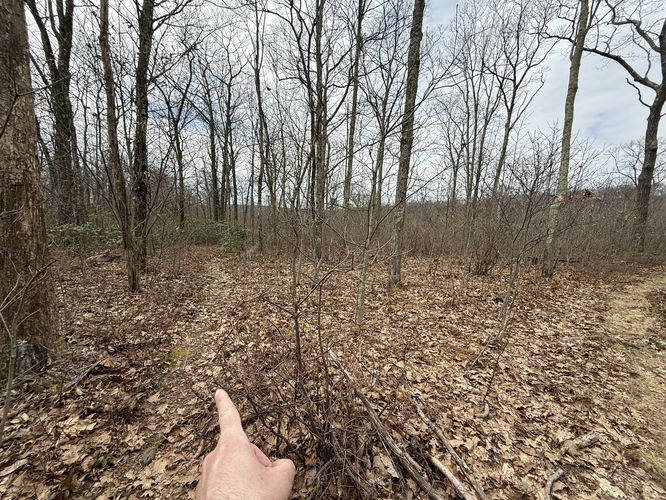 Turn onto Allegheny Front Trail