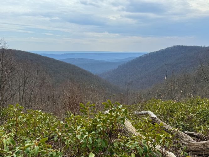 Whetstone Run Overlook