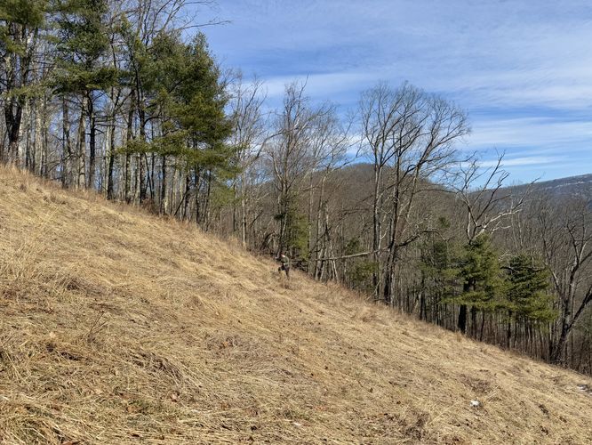 Picture 12 of Ramsey Vista Pipeline Hike