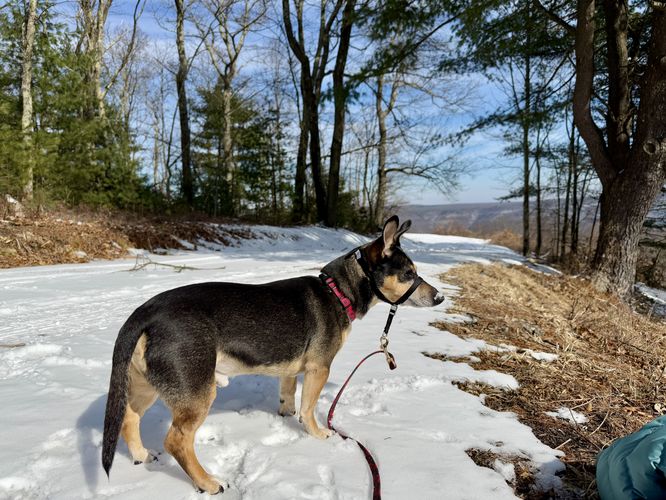 Jax at the top of the pipeline