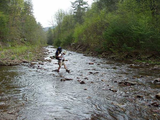 Default image for Ramsey's Draft Hike, a 15.8-mile trail in West Augusta, VA (US)