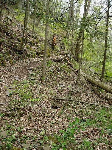 Picture 13 of Ramseys Draft Hike