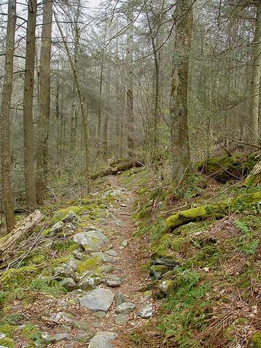 Picture 16 of Ramseys Draft Hike