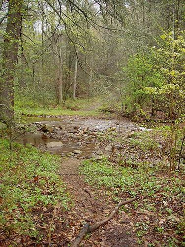 Picture 17 of Ramseys Draft Hike