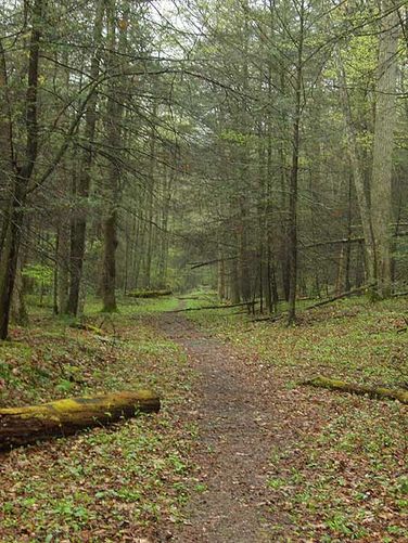 Picture 11 of Ramseys Draft Hike