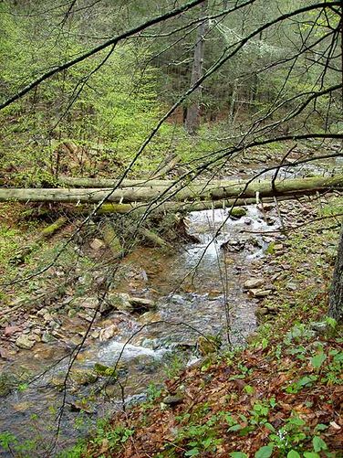 Picture 12 of Ramseys Draft Hike
