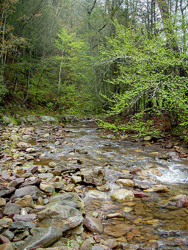 Picture 14 of Ramseys Draft Hike
