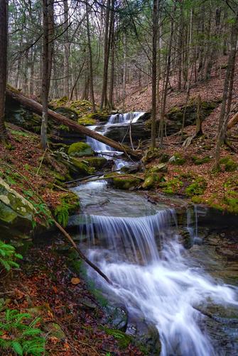 Picture 2 of Rattler run falls