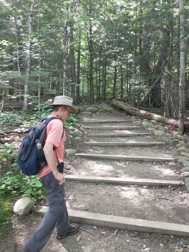 Bridle Trail steps are well maintained 