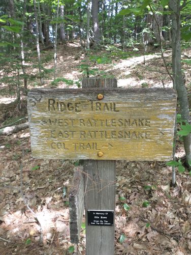 Engraved wooden signage at most juctions