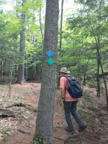 Welll marked trail blazes