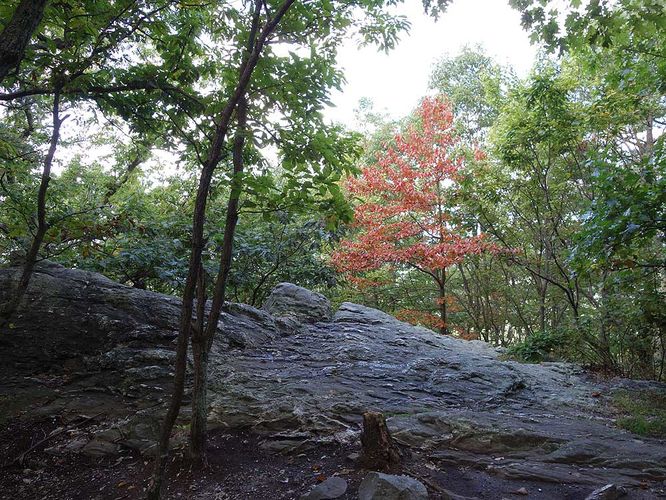 Picture 22 of Raven Rocks Hike 091517