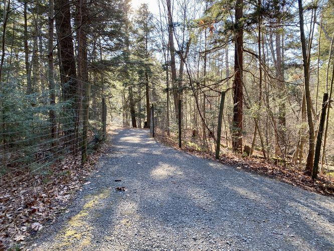 Raymondskill Falls Trail heads into the forest