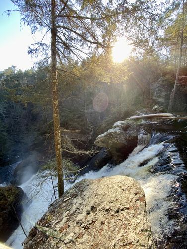 View from the top of Raymondskill Falls