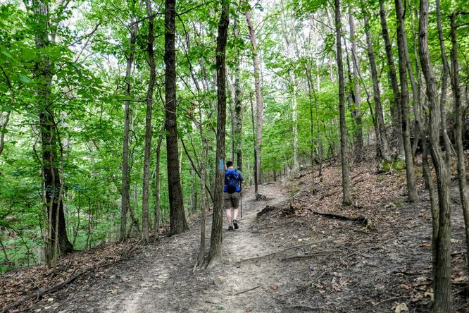 Picture 4 of Read Mountain Preserve Hike 082519