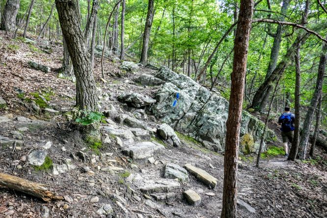 Picture 7 of Read Mountain Preserve Hike 082519