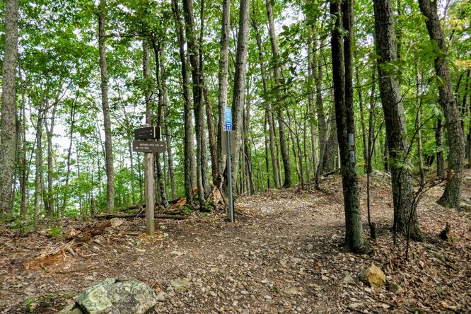 Picture 9 of Read Mountain Preserve Hike 082519