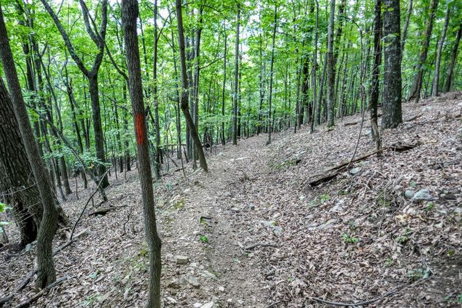 Picture 18 of Read Mountain Preserve Hike 082519
