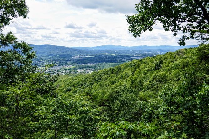 Picture 24 of Read Mountain Preserve Hike 082519