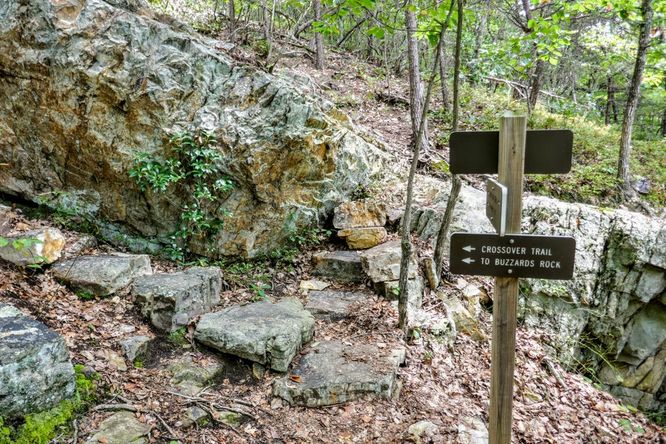 Picture 27 of Read Mountain Preserve Hike 082519