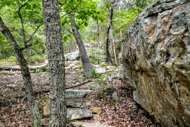Picture 28 of Read Mountain Preserve Hike 082519